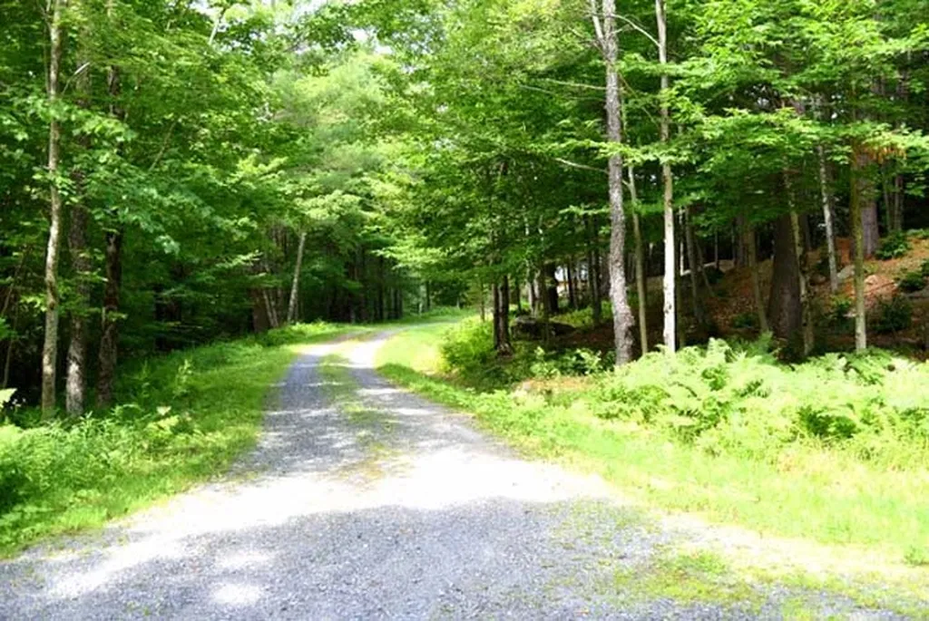 79 Bowen Drive Readsboro VT 05350