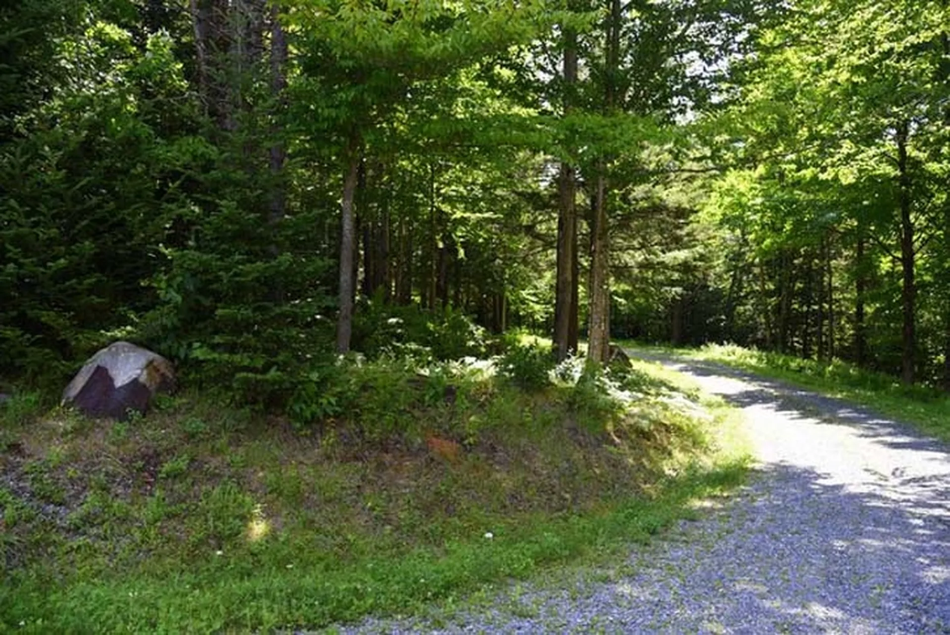 79 Bowen Drive Readsboro VT 05350