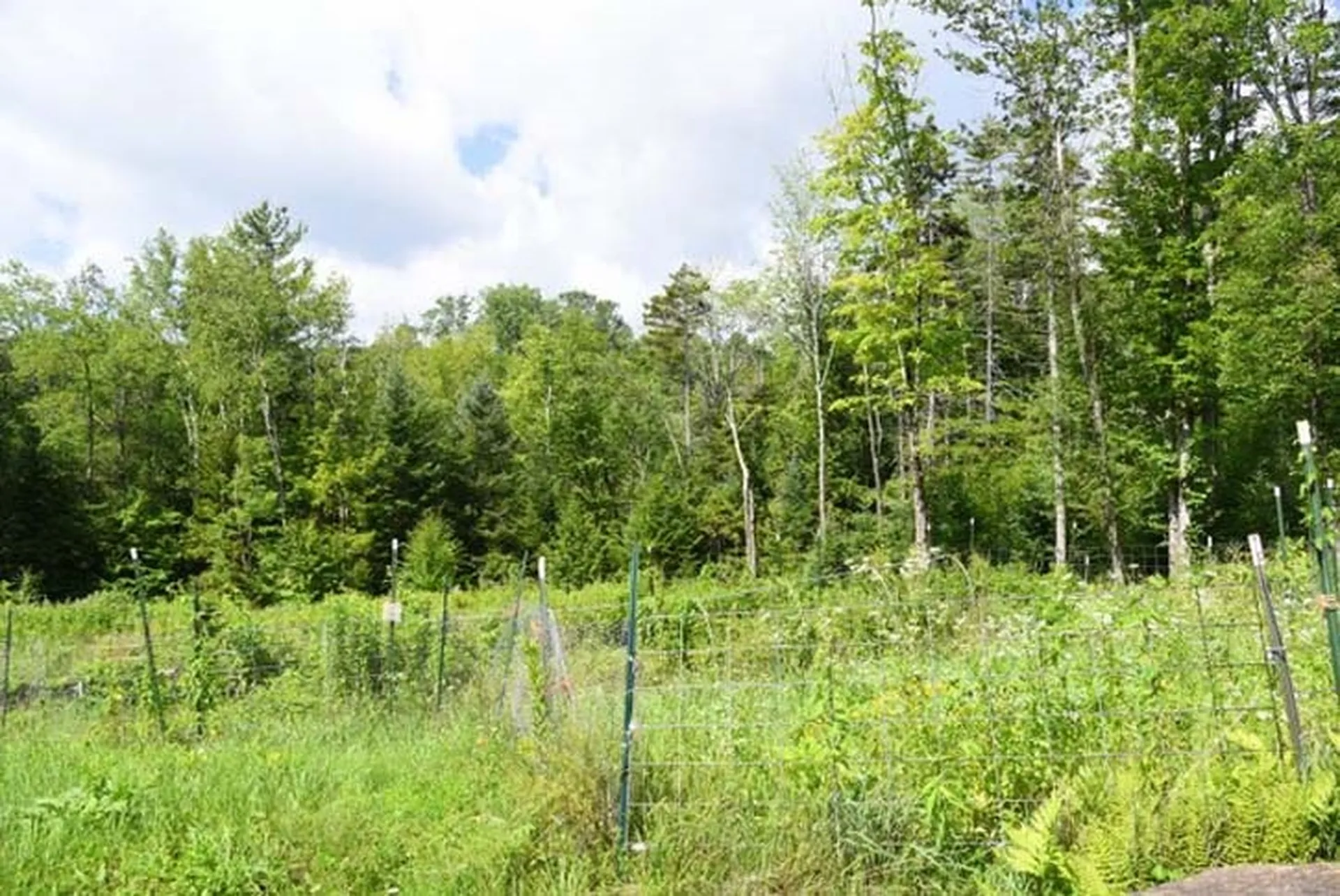 79 Bowen Drive Readsboro VT 05350