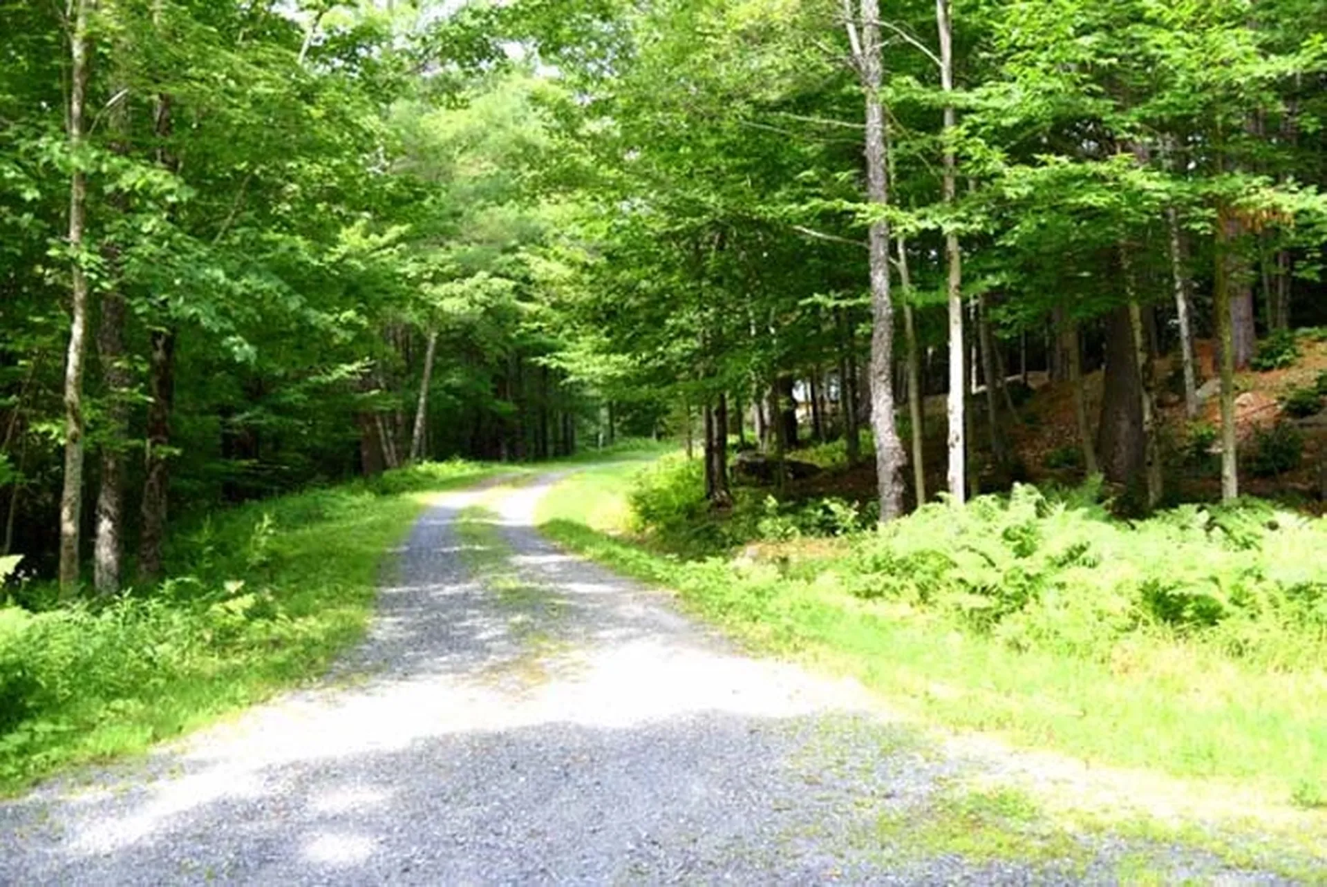79 Bowen Drive Readsboro VT 05350