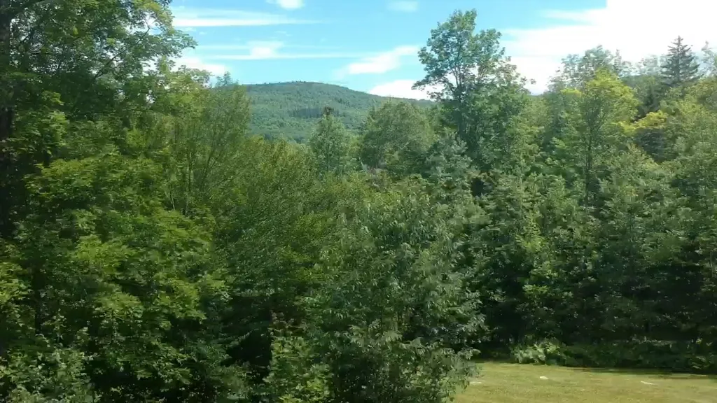 460 Mecawee Road Woodstock VT 05091