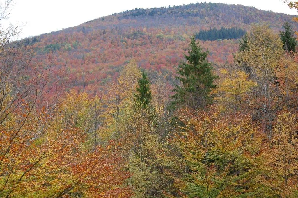 460 Mecawee Road Woodstock VT 05091
