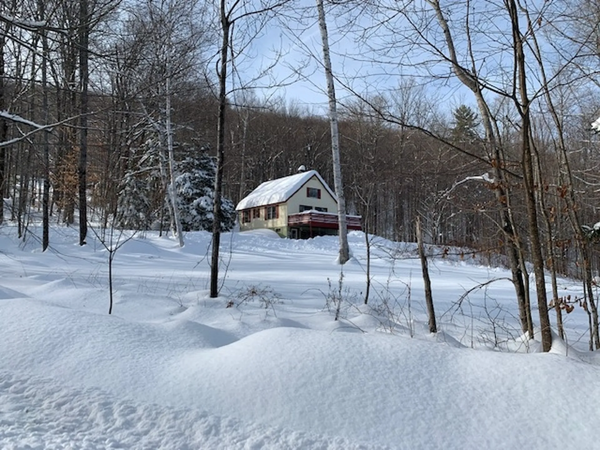 460 Mecawee Road Woodstock VT 05091