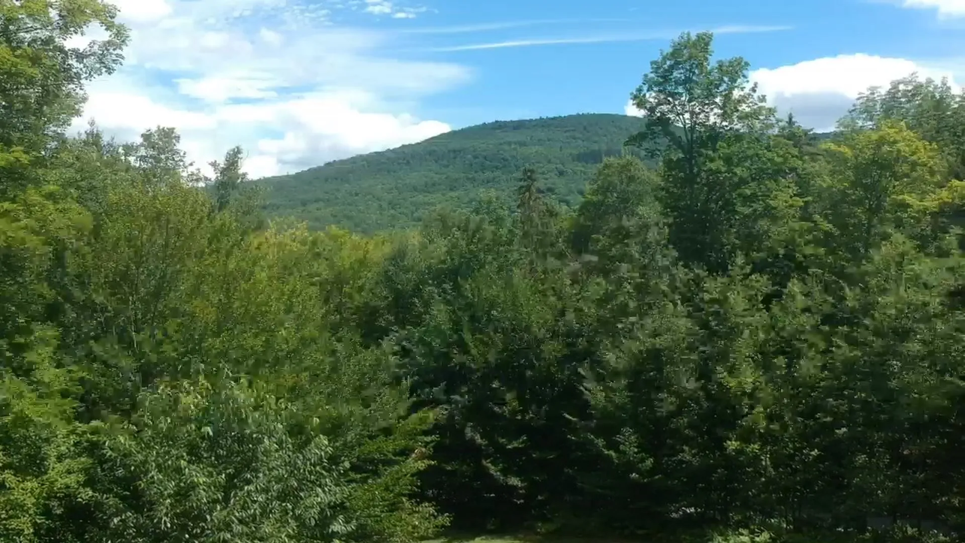 460 Mecawee Road Woodstock VT 05091