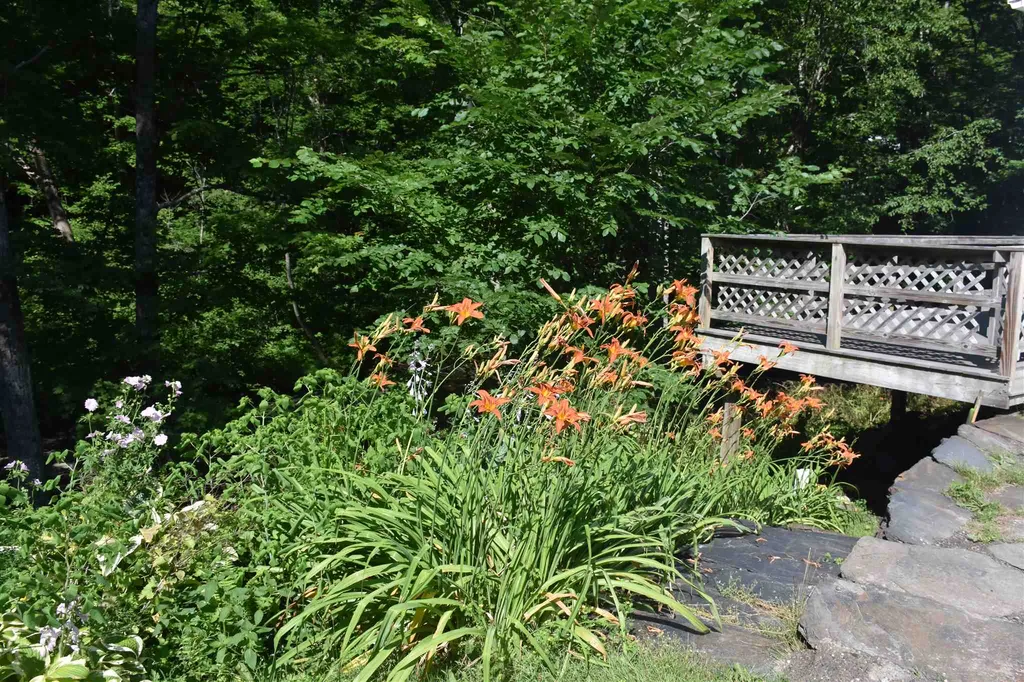 1232 Route 12 South Northfield VT 05663