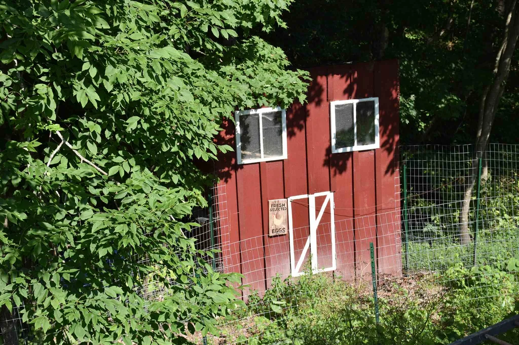 1232 Route 12 South Northfield VT 05663