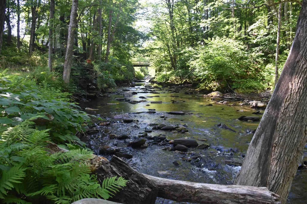 1232 Route 12 South Northfield VT 05663