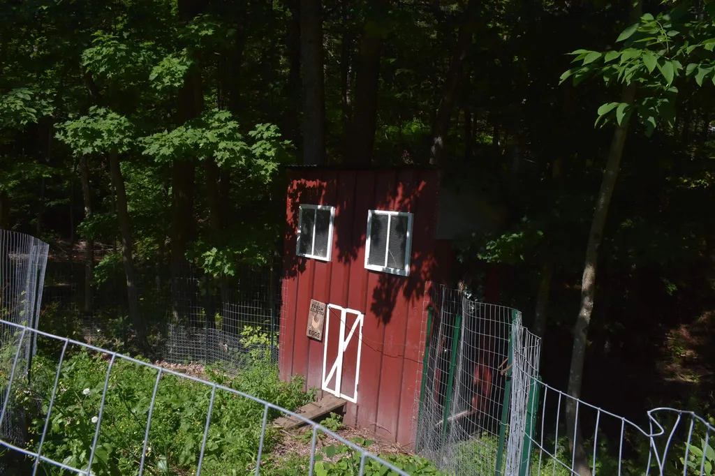 1232 Route 12 South Northfield VT 05663