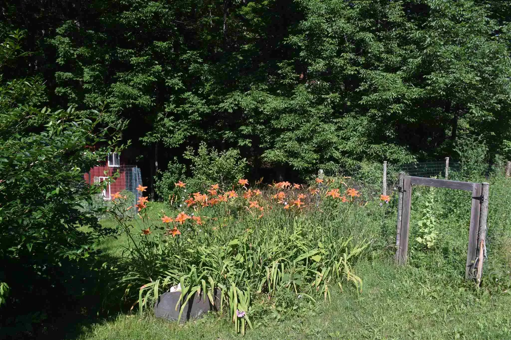 1232 Route 12 South Northfield VT 05663