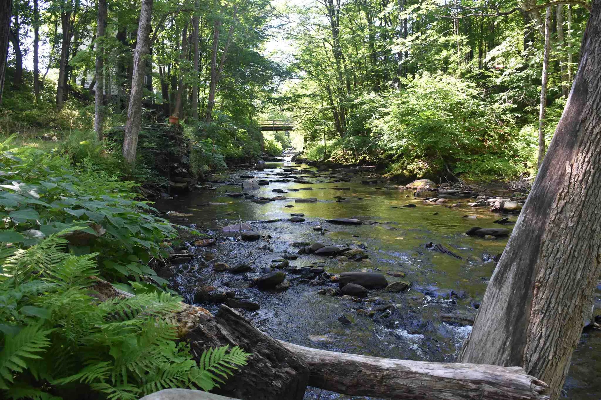 1232 Route 12 South Northfield VT 05663