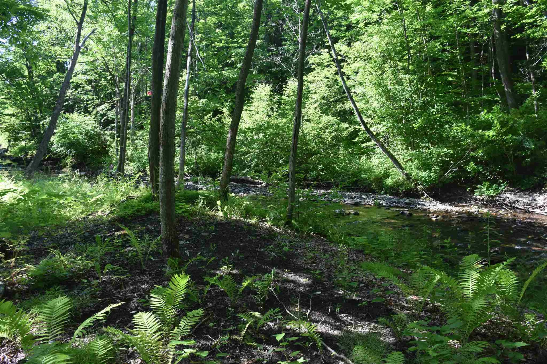 1232 Route 12 South Northfield VT 05663
