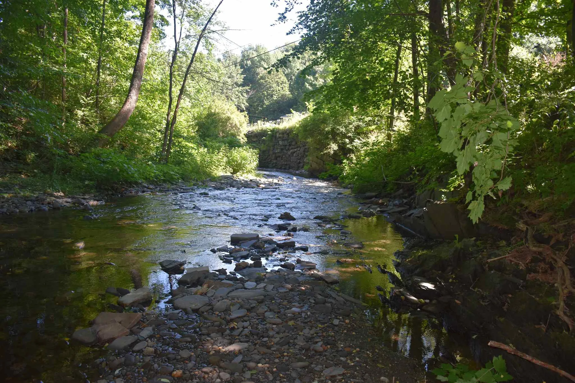 1232 Route 12 South Northfield VT 05663