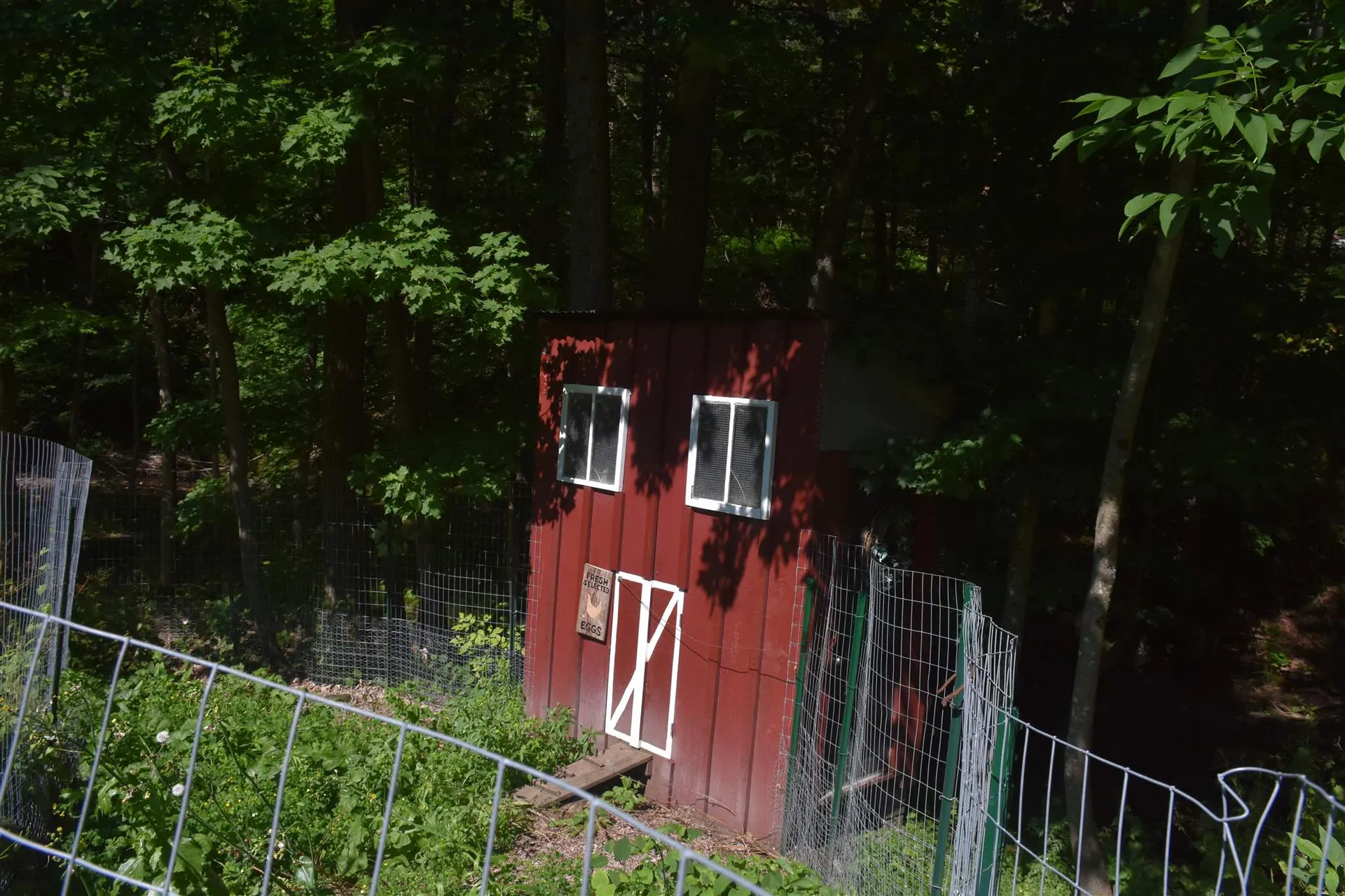 1232 Route 12 South Northfield VT 05663