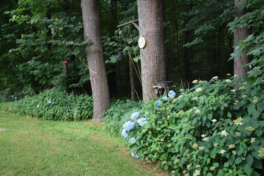6 Wentworth Drive Newton NH 03858