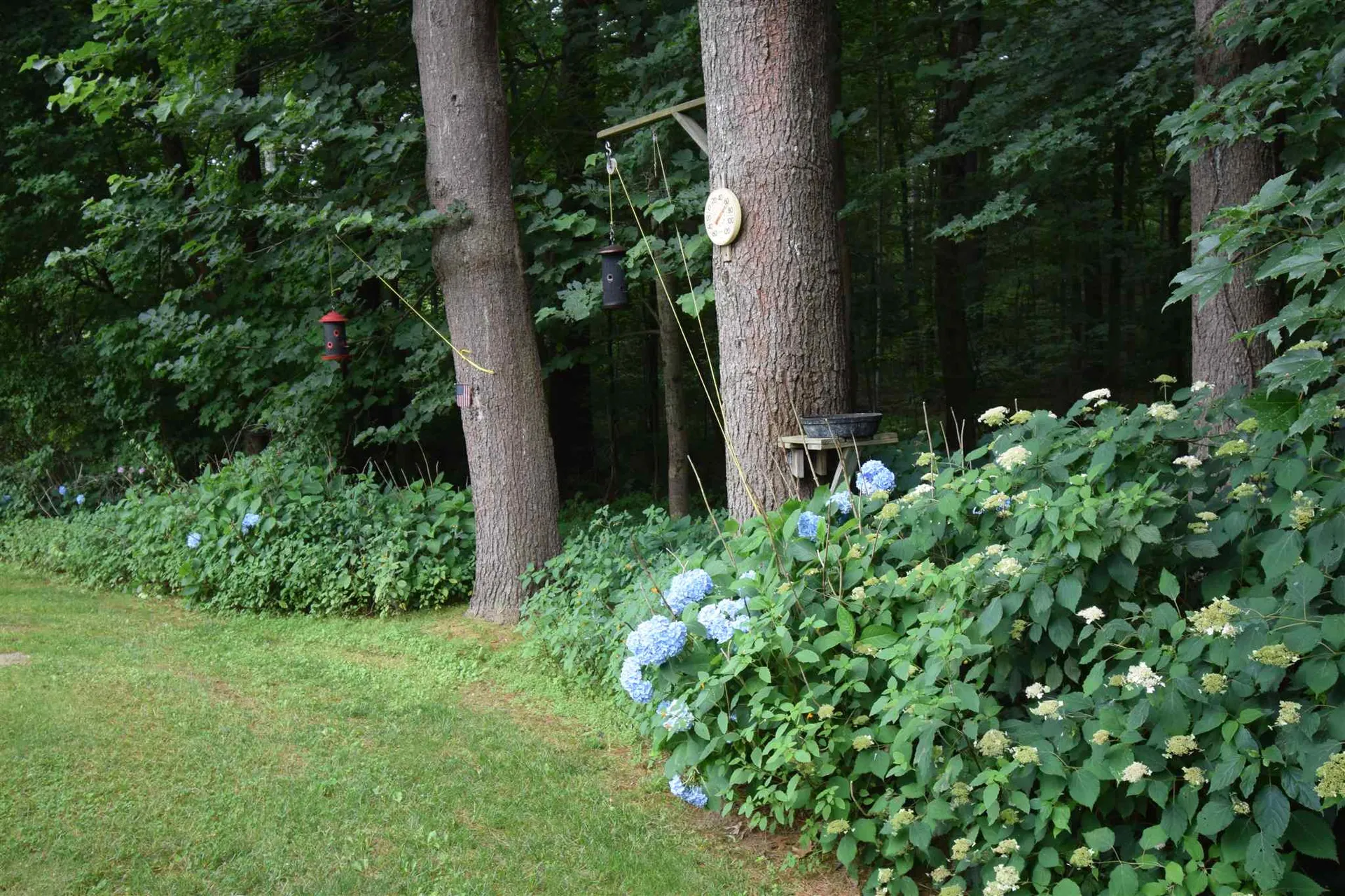 6 Wentworth Drive Newton NH 03858