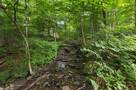 249 Sterling Gorge Road Stowe VT 05672