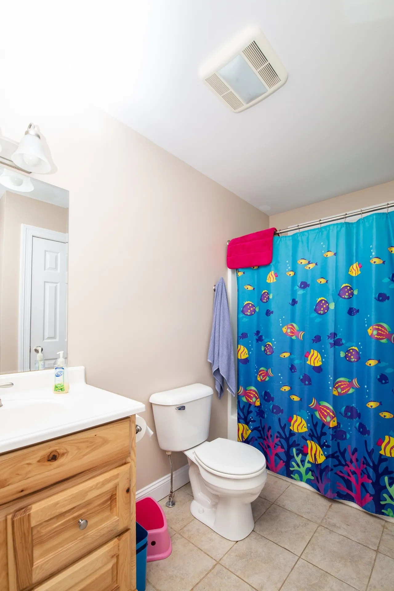 39 Mountain Spring Court Westford VT 05494