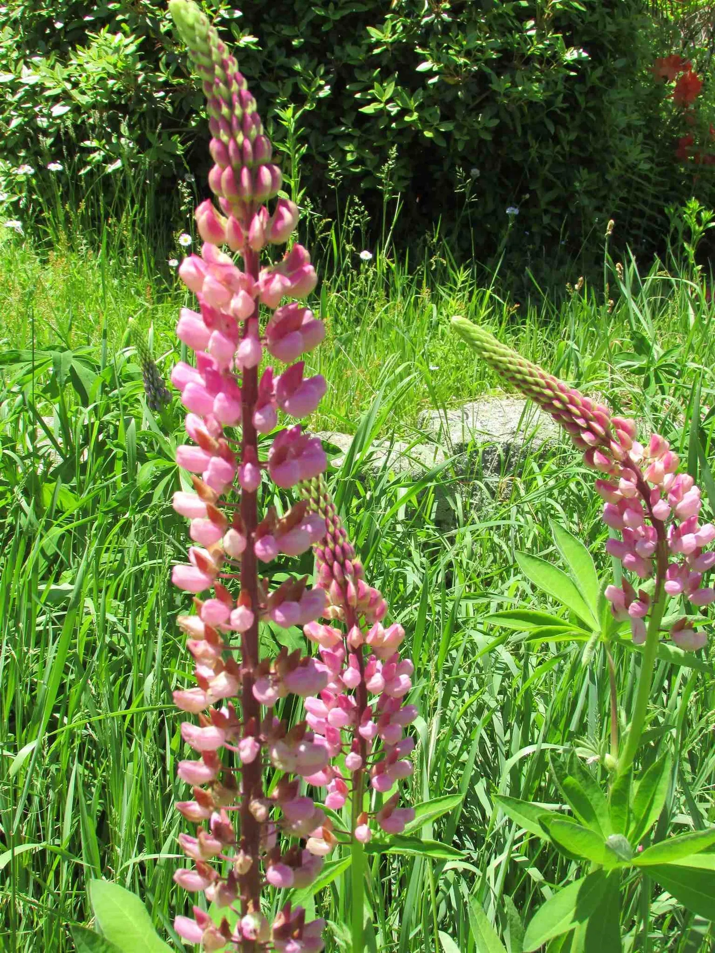 102 Bradbury Road Canaan NH 03741