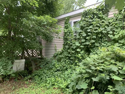 15 Lindenshire Avenue Exeter NH 03833