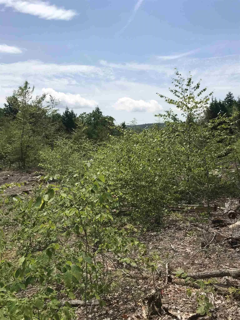 Map 11 Lot 64-1&2 & Lot 66 Roller Coaster Road Strafford NH 03884