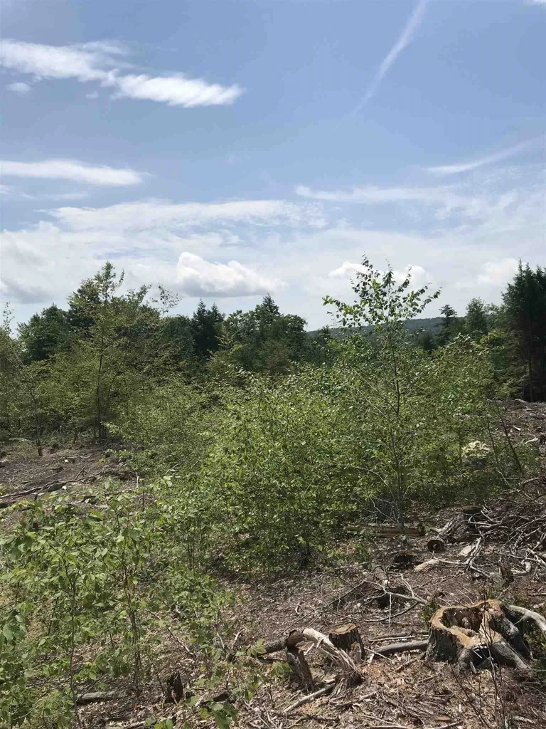 Map 11 Lot 64-1&2 & Lot 66 Roller Coaster Road Strafford NH 03884