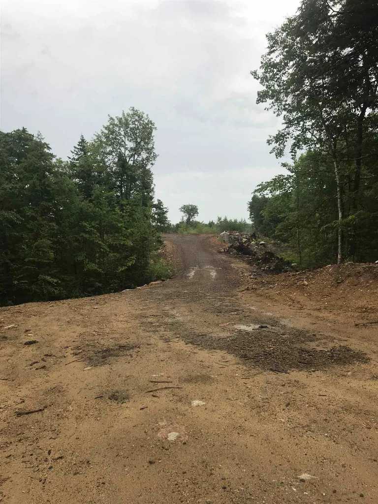 Map 11 Lot 64-1&2 & Lot 66 Roller Coaster Road Strafford NH 03884