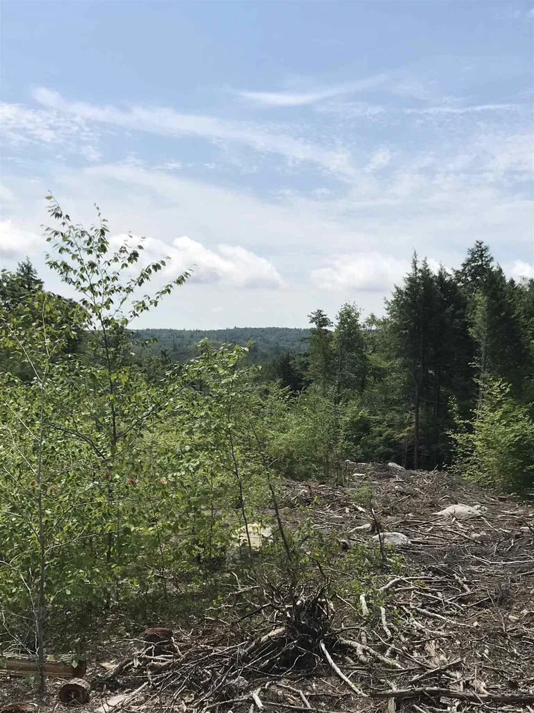 Map 11 Lot 64-1&2 & Lot 66 Roller Coaster Road Strafford NH 03884