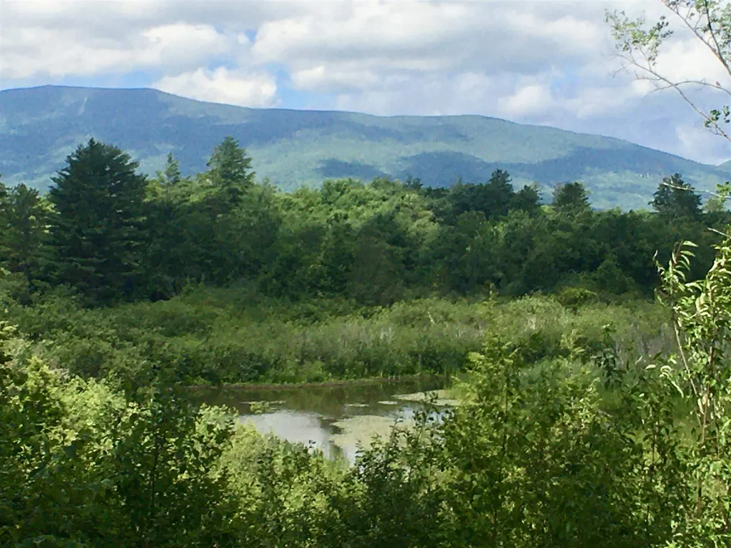146 Woods Point Road Manchester VT 05255