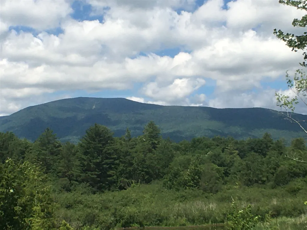 146 Woods Point Road Manchester VT 05255