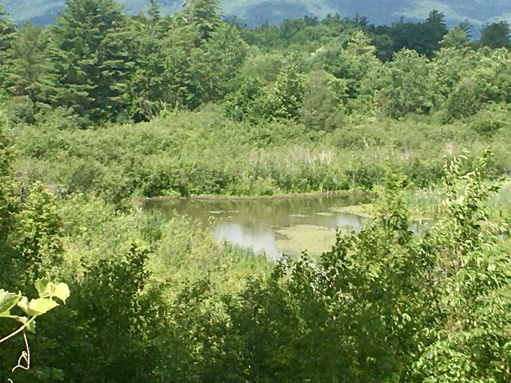 146 Woods Point Road Manchester VT 05255