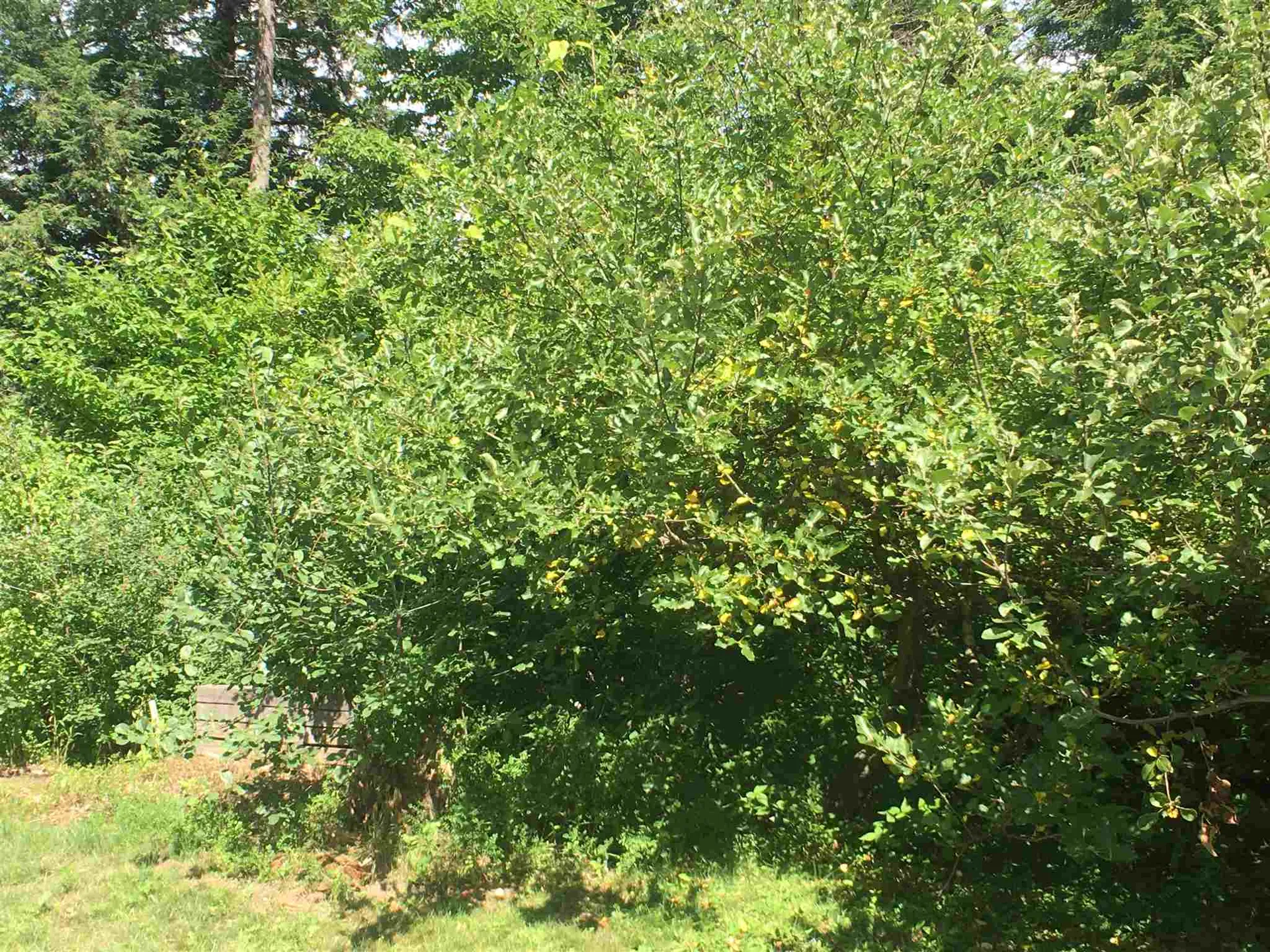 146 Woods Point Road Manchester VT 05255