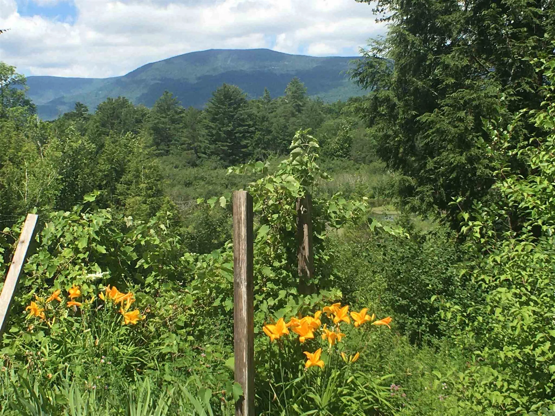 146 Woods Point Road Manchester VT 05255