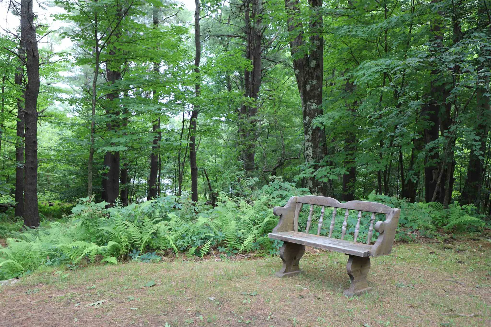 99 Todd Hill Road Rindge NH 03461