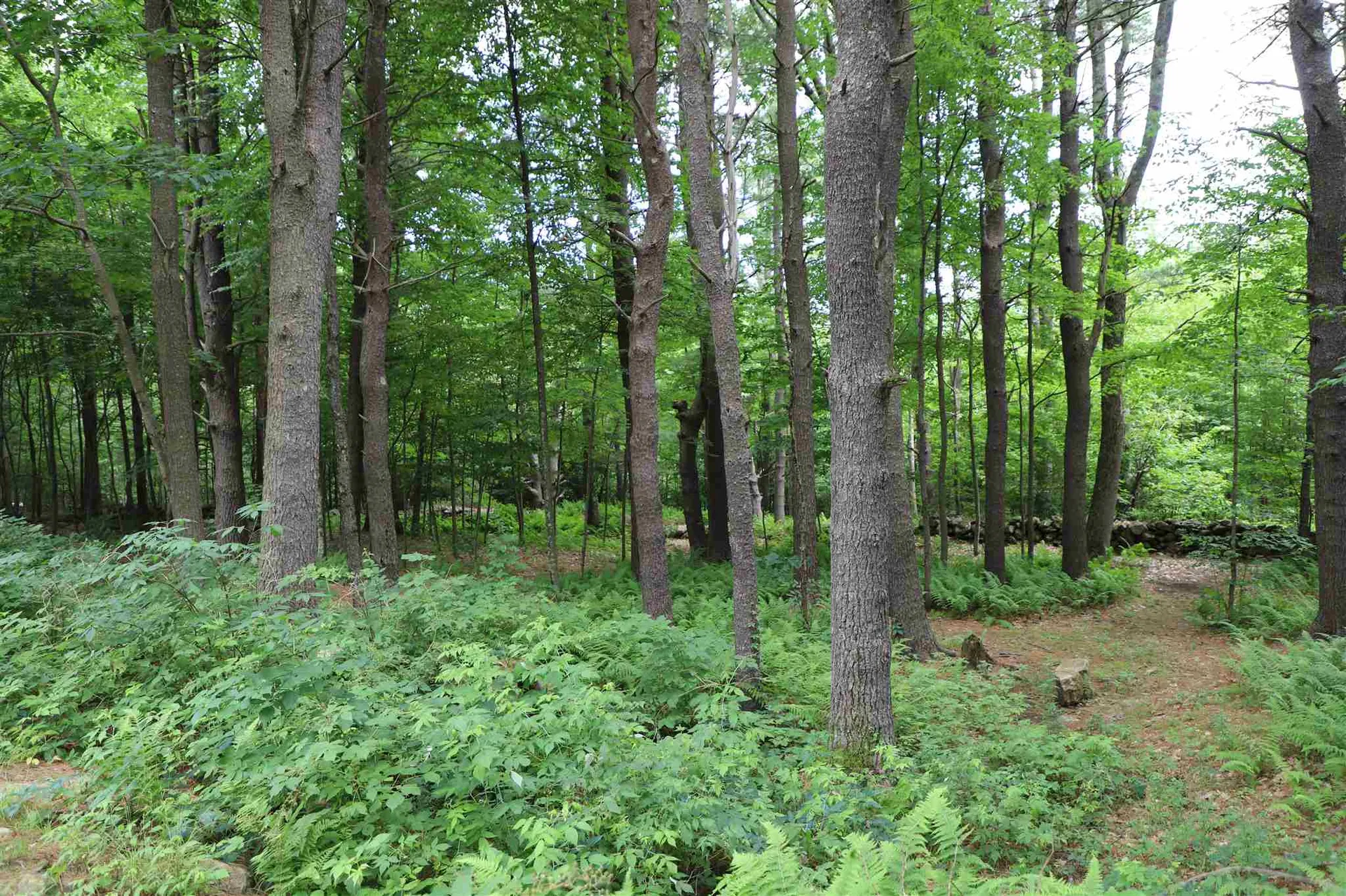 99 Todd Hill Road Rindge NH 03461