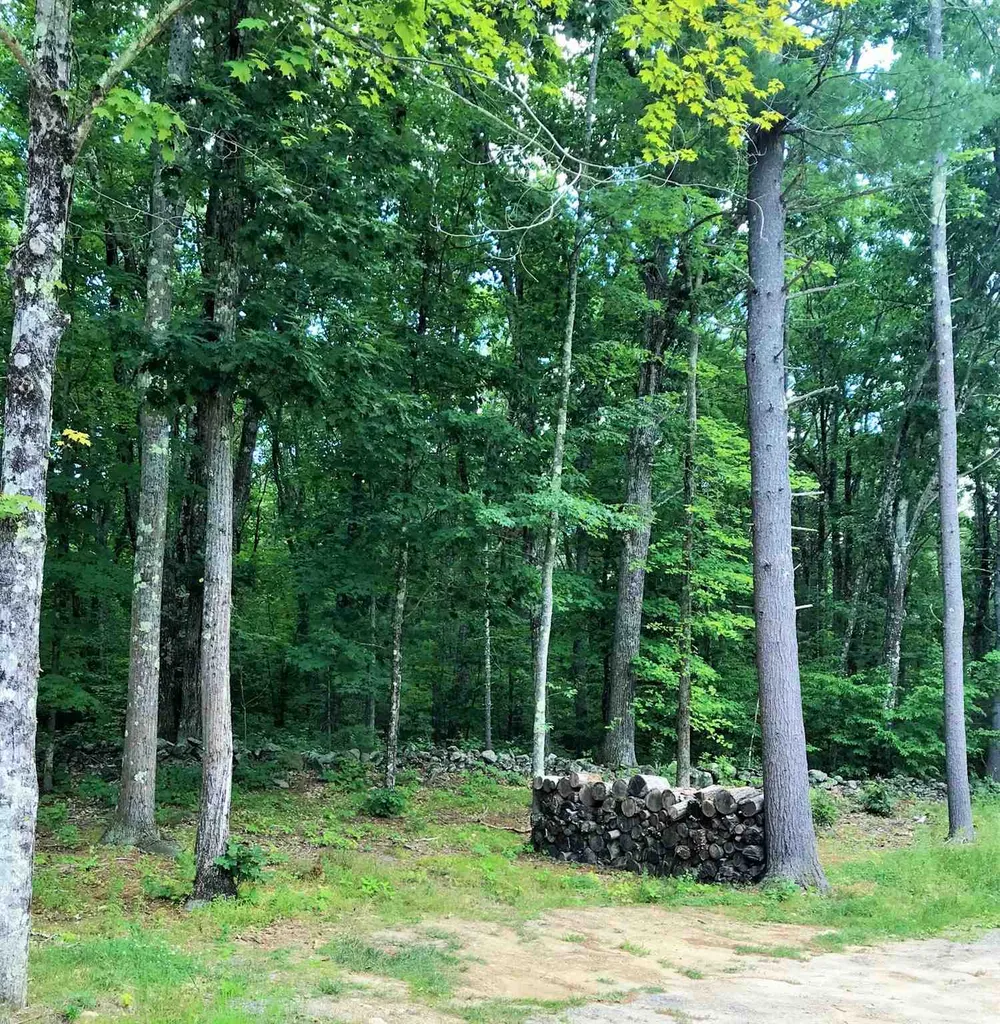 13 Longmarsh Road Durham NH 03824