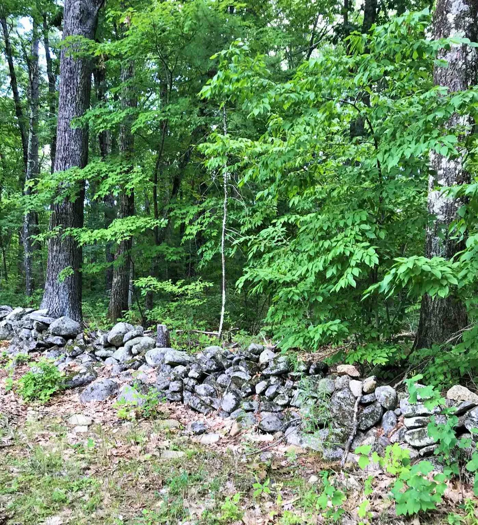 13 Longmarsh Road Durham NH 03824