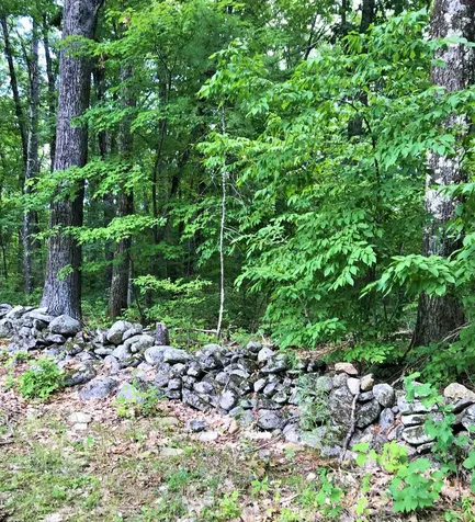 13 Longmarsh Road Durham NH 03824