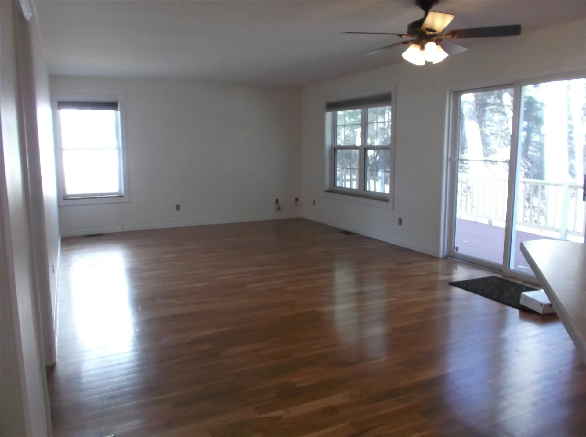 29 Lupine Lane South Burlington VT 05403