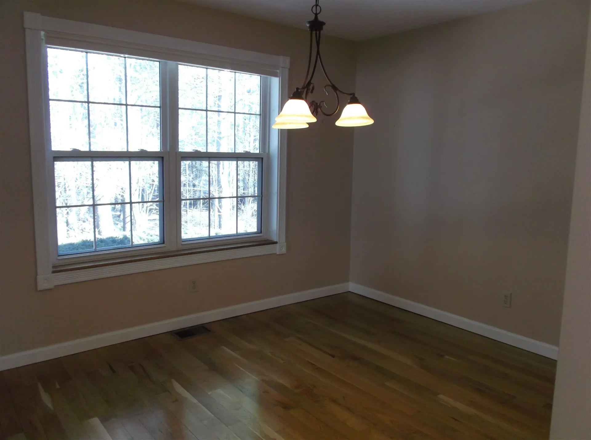 29 Lupine Lane South Burlington VT 05403