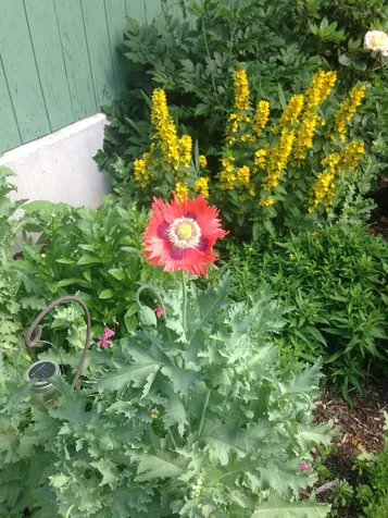 88 Happy Haven Road Wilmington VT 05363