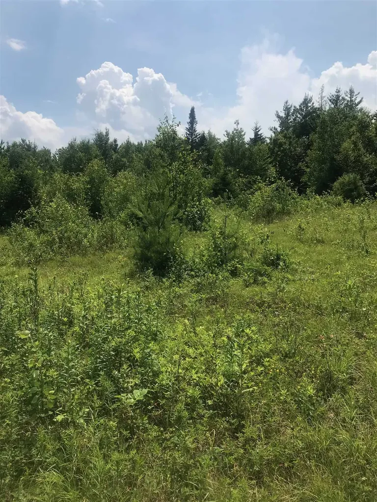 705 Hedgehog Hill Road Mount Holly VT 05758