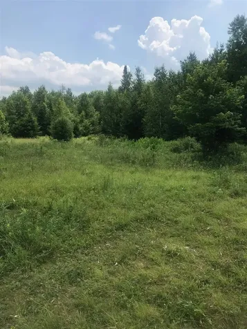 705 Hedgehog Hill Road Mount Holly VT 05758