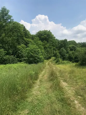 705 Hedgehog Hill Road Mount Holly VT 05758