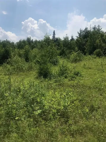 705 Hedgehog Hill Road Mount Holly VT 05758