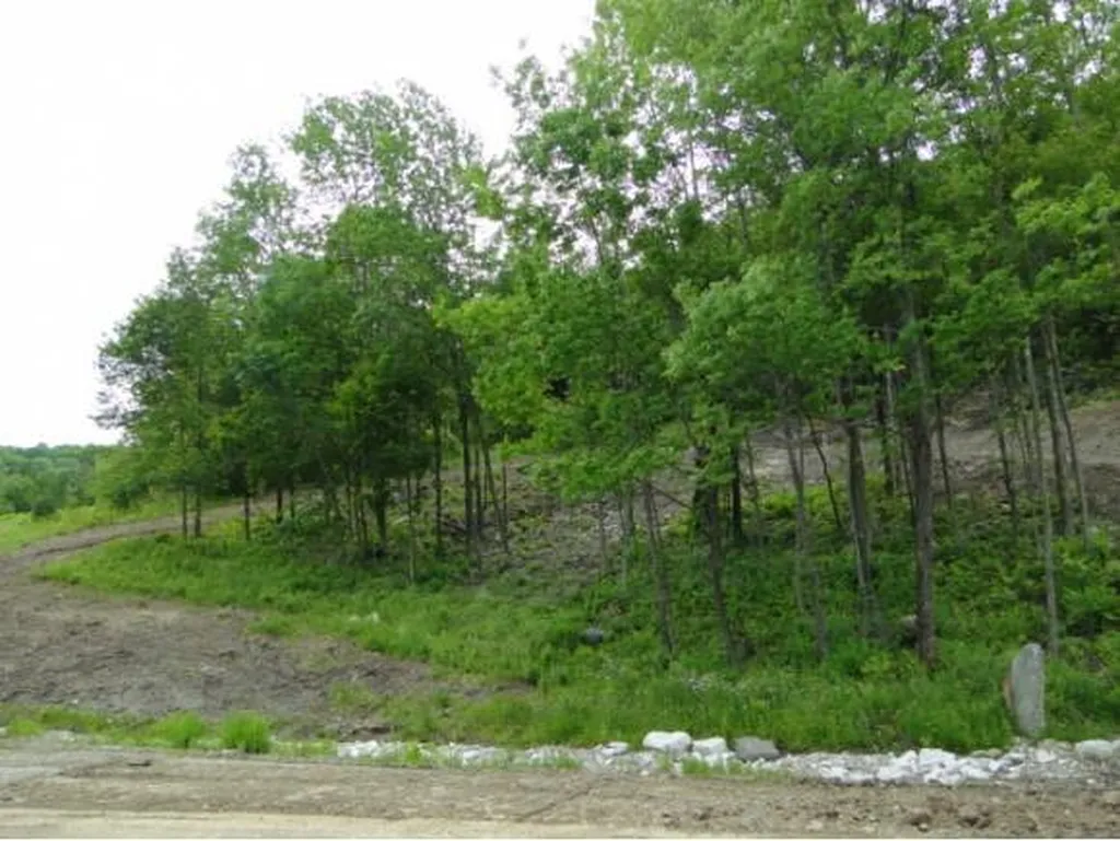 1028 Gilead Brook Road Bethel VT 05032