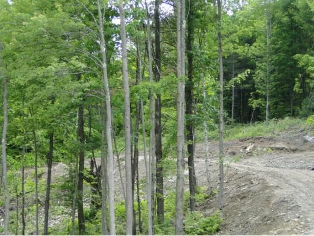 1028 Gilead Brook Road Bethel VT 05032