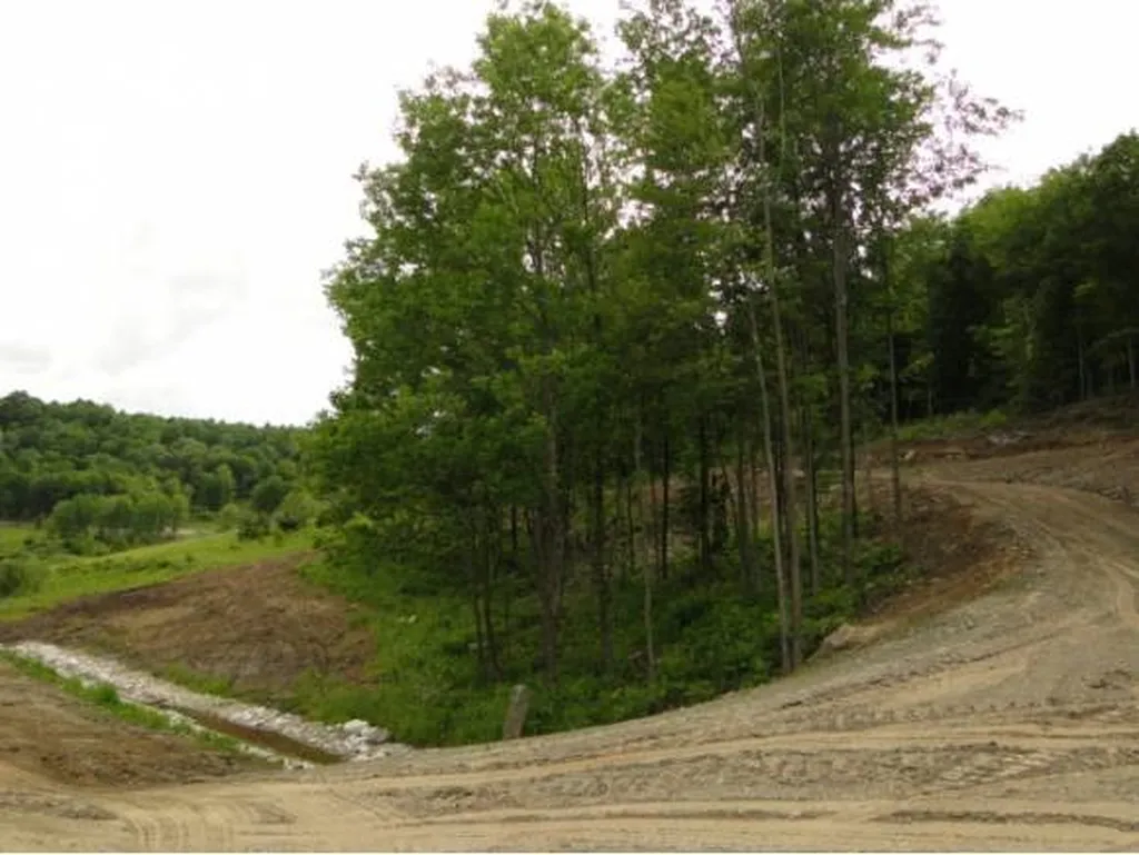 1028 Gilead Brook Road Bethel VT 05032