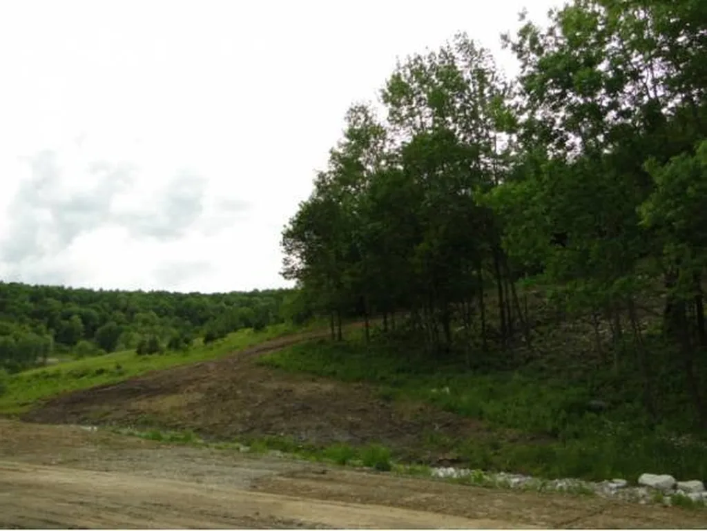 1028 Gilead Brook Road Bethel VT 05032