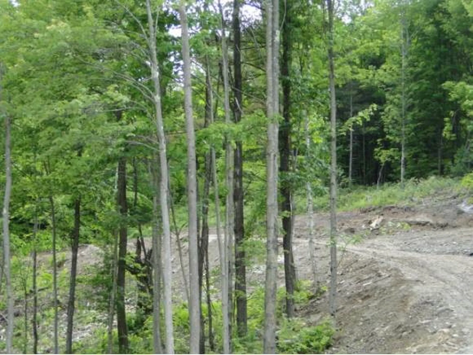 1028 Gilead Brook Road Bethel VT 05032
