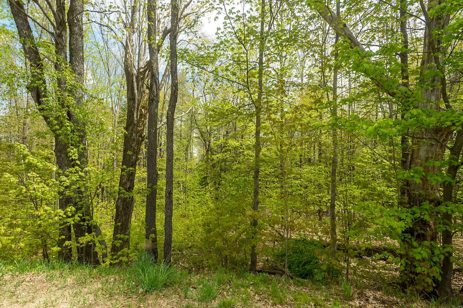 Lot 8 Blakes Hill Road Northwood NH 03261